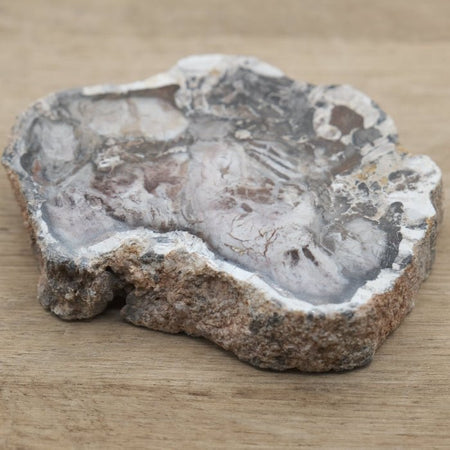 Tranche de Bois fossile 0.127 kg (Madagascar) - Nature Minérale