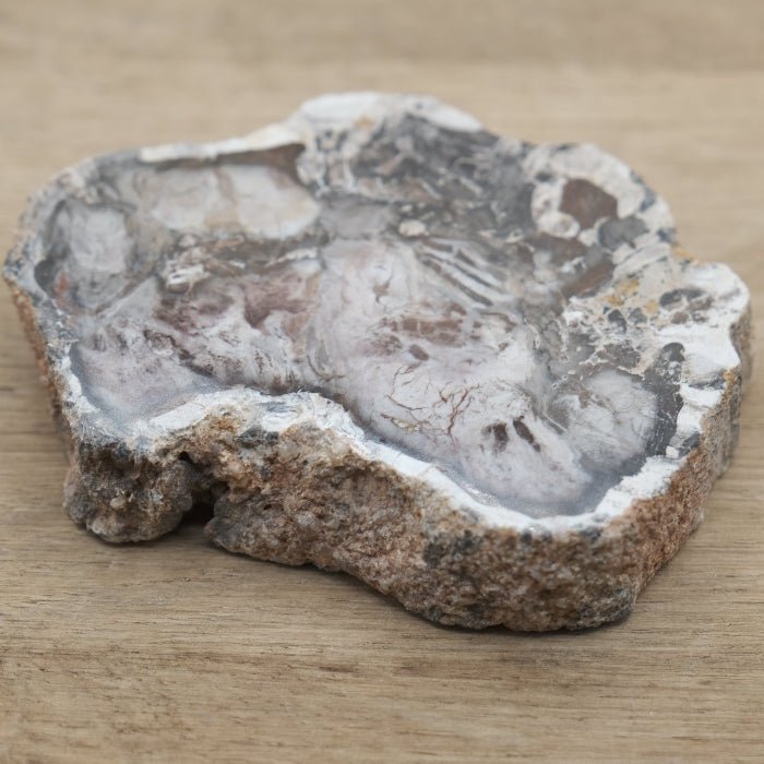 Tranche de Bois fossile 0.127 kg (Madagascar) - Nature Minérale