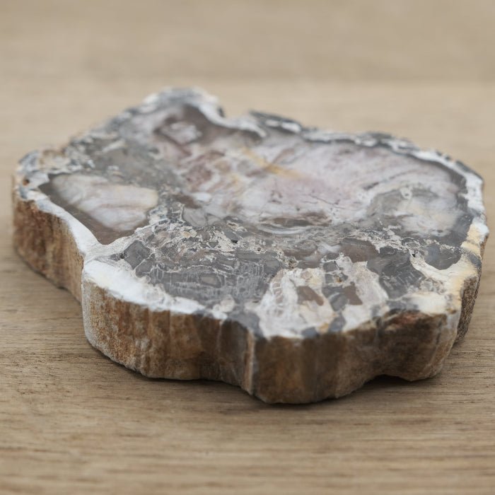 Tranche de Bois fossile 0.127 kg (Madagascar) - Nature Minérale