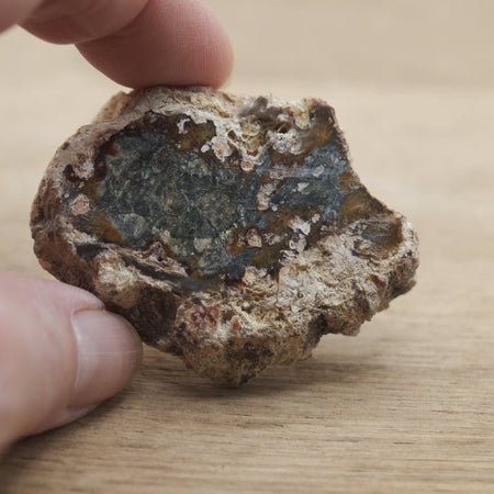 Tranche de Bois fossile 0.29 kg (Madagascar) - Nature Minérale