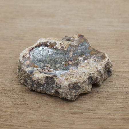 Tranche de Bois fossile 0.29 kg (Madagascar) - Nature Minérale