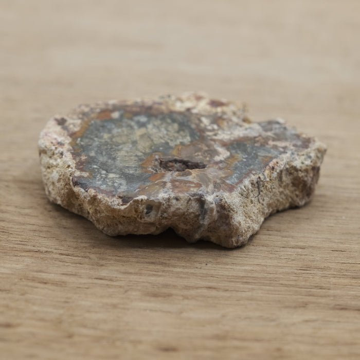 Tranche de Bois fossile 0.29 kg (Madagascar) - Nature Minérale