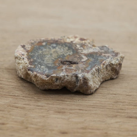 Tranche de Bois fossile 0.29 kg (Madagascar) - Nature Minérale