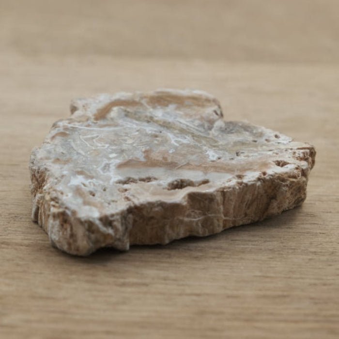 Tranche de Bois fossile 0.48 kg (Madagascar) - Nature Minérale