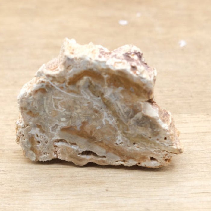 Tranche de Bois fossile 0.48 kg (Madagascar) - Nature Minérale