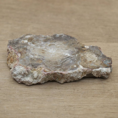 Tranche de Bois fossile 0.69 kg (Madagascar) - Nature Minérale
