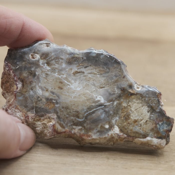 Tranche de Bois fossile 0.69 kg (Madagascar) - Nature Minérale