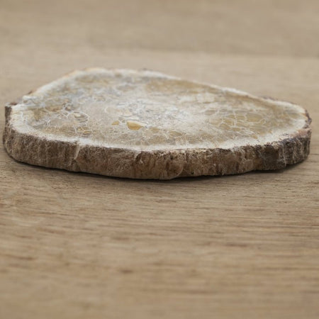 Tranche de Bois fossile 0.95 kg (Madagascar) - Nature Minérale