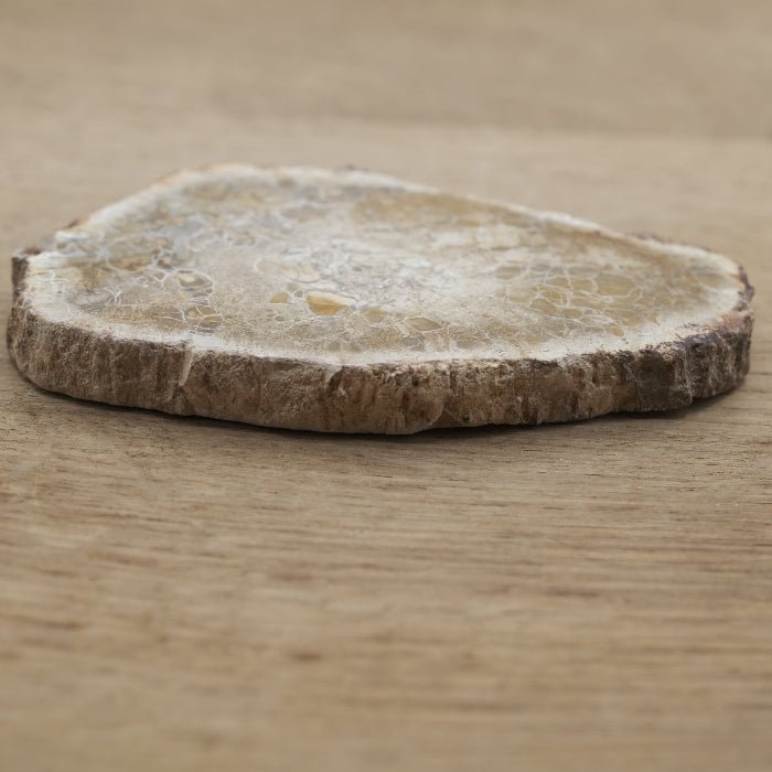 Tranche de Bois fossile 0.95 kg (Madagascar) - Nature Minérale