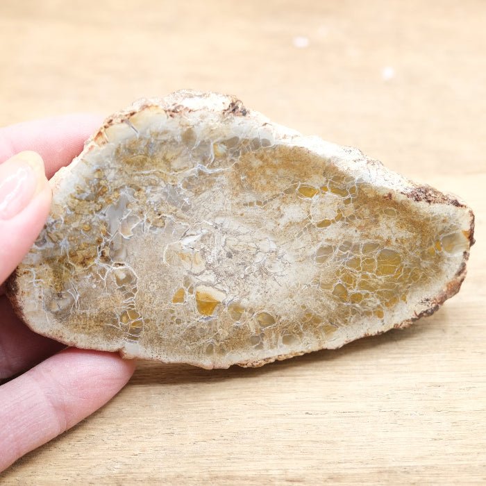 Tranche de Bois fossile 0.95 kg (Madagascar) - Nature Minérale